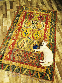 Onları nasıl mutlu edeceğiz