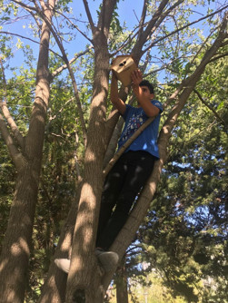 ‘Kuşlar üşümesin diye’