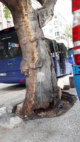 Okurların gözünden Ankara sokakları