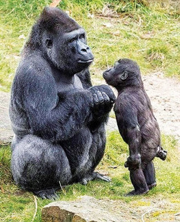 İki kız arkadaşın birbirine verdikleri çarşaf sözü