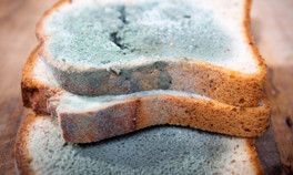 Ekmeğin bayatlayıp küflenmesini önlemenin yolları