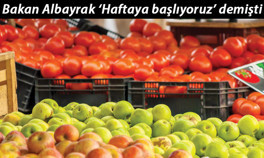 Ucuz meyve-sebze için çadır modeli