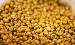 İşte Türkiyenin dört bir yanından tescillenmiş lezzetler