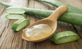 ALOE VERANIN 10 FARKLI KULLANIM ALANI İÇİN TIKLAYIN