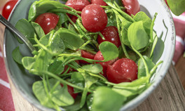 Domatesli semizotu salatası tarifi