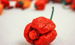 Eldivenle bile dokunmak imkansız çünkü...