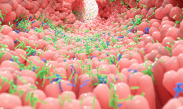 Bol bol yiyin Bağırsakların düzenli çalışması için...