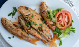 Tekir nasıl bir balıktır Tekir balığı nasıl pişirilir