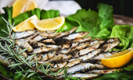 T2 katil lenfositlerinin sayısını değiştiriyor D vitamini güneşten sonra en çok balıkta