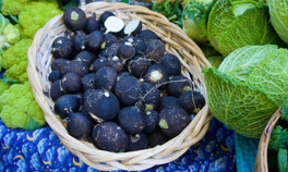 Şifa olmadığı hastalık yok Bağışıklığınızı güçlendirmek için sık sık tüketin