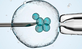 Tüp bebek tedavisini etkileyen faktörler