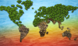 İklim Krizi Virüs Gibi Tokadını Vurmadan...