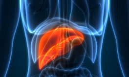 Karaciğer yağlanması neden olur, belirtileri nelerdir Karaciğer yağlanmasına ne iyi gelir
