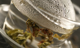 Kış aylarında eksik etmeyin... Hangi çay neye faydalı