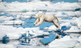 120 yılda deniz yüzey suyu sıcaklığı 1,1 derece arttı