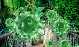 Brezilya Sağlık Bakanı açıkladı: Amazonda rastlanan Kovid-19 mutasyonu 3 kat daha bulaşıcı