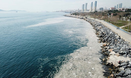 Pendik ve Kartal sahilinde tedirgin eden görüntü İlk kez böyle bir manzara ile karşılaştık