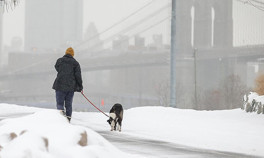 Kutup soğuklarının vurduğu Teksasta ölü sayısı 111e çıktı