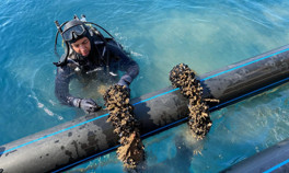 Hibe desteğiyle kurdu, kendi işinin patronu oldu Her aşamasını tek tek kontrol ediyor