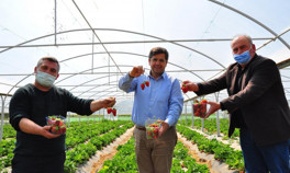 Manisada üretiliyor, yurt dışına ihraç ediliyor Taleplere yetişemiyorlar...