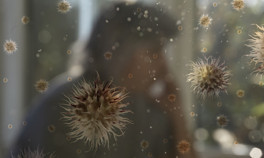 Mayıs sıkıntısı: Covid mi oldum, polen alerjisi mi