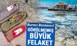 Deniz salyası sonrasında Marmara’nın tükenişi Ölü deniz haline geldi Çok az vakti var