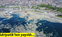 Kritik rapor yayınlandı: Müsilaj (Deniz salyası) Adriyatik Denizi’nden Ege ve Marmaraya uzandı