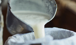 Sütte yeni tehlike: Çamaşır suyu… “Bu kadar zamandır içiyoruz, bir şey olmadı”