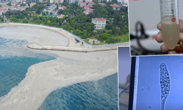 Sebebi ortaya çıktı.. Müsilaj kâbusunun ilk test sonuçları belli oldu Deniz salyasının nedeni tek hücreli canlı...