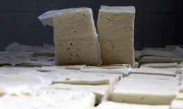 Peynir yerine ne yiyoruz | 6 SORU 6 YANIT