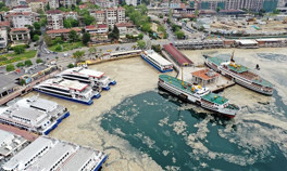 Deniz salyası zararlı mı Deniz salyası neden olur, nasıl oluşur
