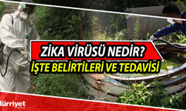 Zika virüsü nedir, belirtileri nelerdir