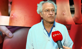 İstanbulda sivrisinek tehlikesi Prof. Dr. Yılmaz türünü açıkladı: Asya Kaplan Sivrisineği kâbusu