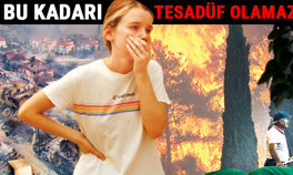 Manavgat Marmaris Bodrum Adana Osmaniye Mersin Kayseride orman yangını... Kimin işi