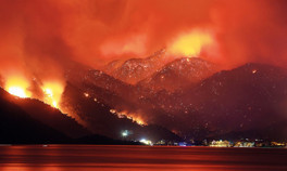 İş dünyasından fidan seferberliği