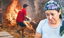 Ağaçlara ağıt... Bir daha bu ormanları göremeyeceğim