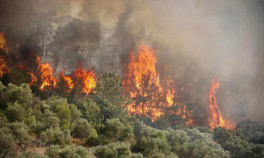 Nereye gidiyor, neye yol açıyor Orman yangınlarında duman tehdidi