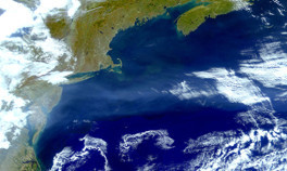 Dünyanın gözü burada... Durursa ne olur Bilim insanları bu kez çok net konuştu