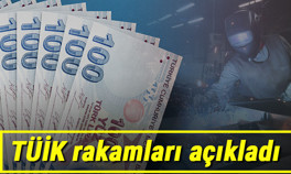 Türkiye ikinci çeyrekte yüzde 21.7 büyüdü