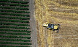 Tarım ihracatında tarihi zirve