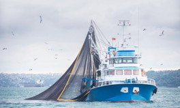 Marmara’da ağlar boş kaldı