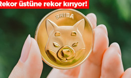 Shiba Inude rekor üstüne rekor