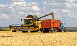 Rusya’dan tahılda yumuşama sinyali