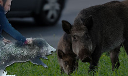  Çok riskli | Salgın çıkma ihtimali var mı