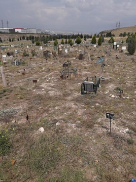 Whatsapp Ankara Şehir Hattı