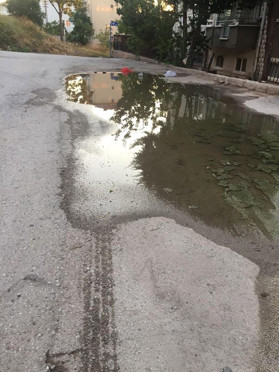Okurların gözünden Ankara sokakları
