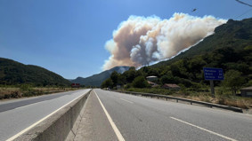 Sakaryada yeni orman yangını Bilecik istikametine yol kapatıldı