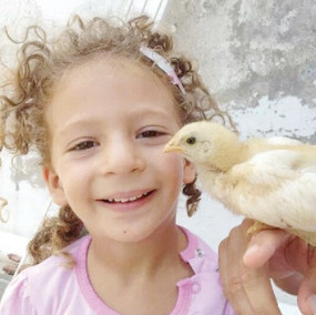 Hayır efendim bu kaza değil, cinayet