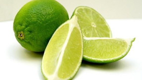 Limon için 12 ay destek istedi