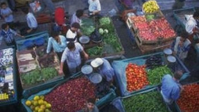 Salatalık kabusu Türkiye`ye gelecek mi?